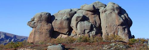 Latest company Solutions about Construction Project